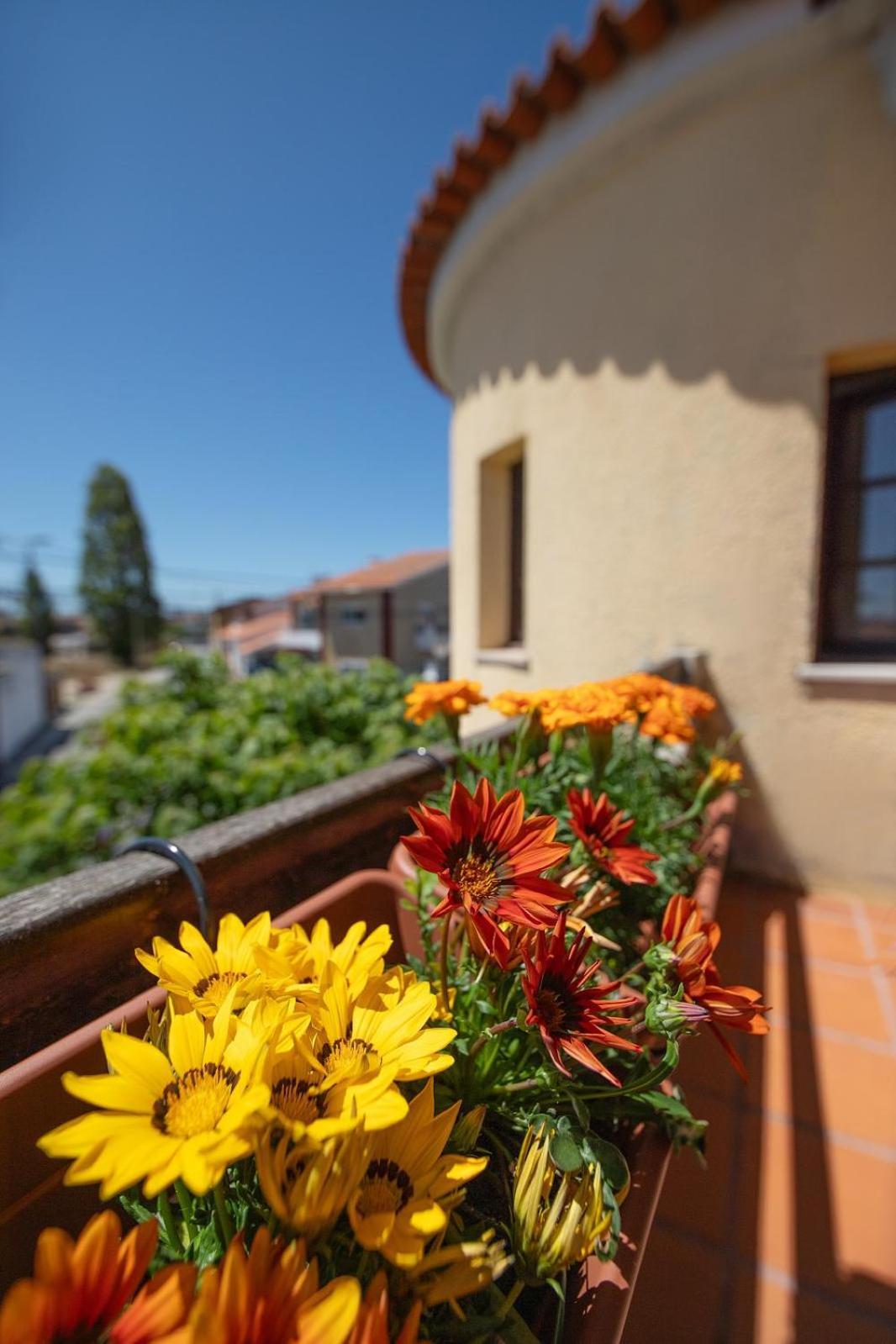 Villa Salgado Gafanha da Nazare Luaran gambar